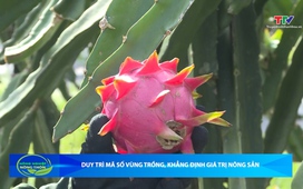 Bản tin Nông nghiệp - Nông thôn ngày 20/6/2026
