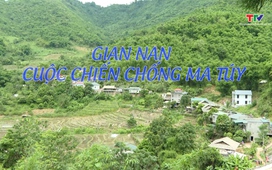 Hộp thư truyền hình ngày 22/6/2026