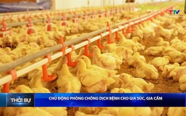 Bản tin Thời sự 14h ngày 28/6/2026