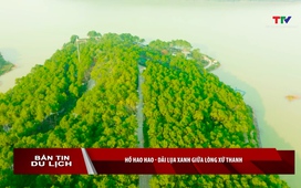 Bản tin Du lịch ngày 04/06/2026