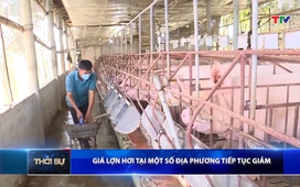 Bản tin Thời sự 9h ngày 4/7/2026