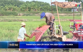 Bản tin Thời sự 9h ngày 05/7/2026