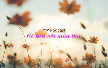 Có hẹn với mùa thu | Câu chuyện truyền thanh | TTV Podcast