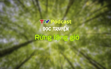 TTV Podcast: Truyện ngắn "Rừng lặng gió" | Lữ Mai