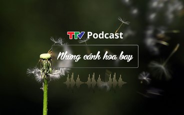 TTV Podcast: Những cánh hoa bay