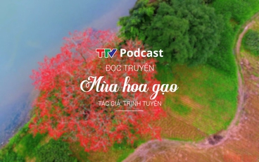 Truyện ngắn "Mùa hoa gạo" | Trịnh Tuyên | TTV Podcast