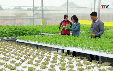 Thanh Hoá tăng cường ứng dụng khoa học, công nghệ vào sản xuất nông nghiệp