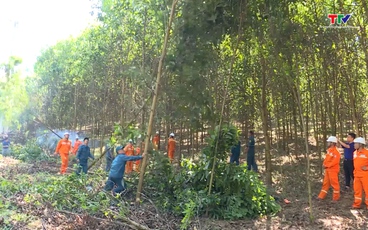 Ra quân giải phóng hành lang an toàn lưới điện tại huyện Thường Xuân