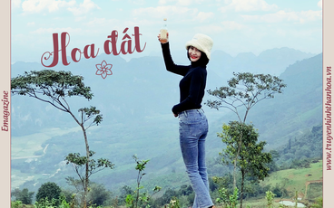 [Story] Hoa đất