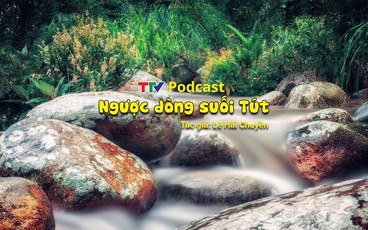 Ký "Ngược dòng suối Tút" | Thiếu tá Lê Hải Chuyền | TTV Podcast