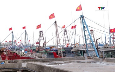 Thanh Hóa quyết liệt “chạy đua nước rút” chống khai thác IUU