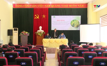 Đánh giá kết quả dự án công nghệ tưới ngập khô xen kẽ trong canh tác lúa