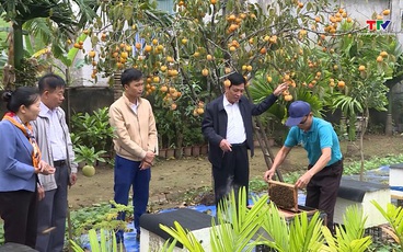 Sôi nổi cuộc thi "Vườn đẹp, trang trại hiệu quả" năm 2025