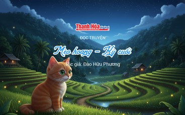 Đọc truyện: “Mèo hoang - Kỳ cuối” | Đào Hữu Phương 