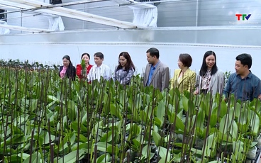 Phát huy vai trò của Hợp tác xã trong ứng dụng khoa học công nghệ