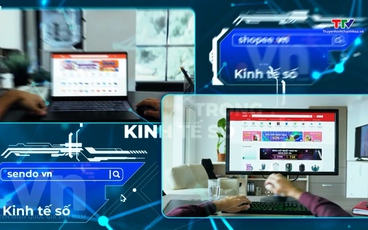 Chính thức công bố danh sách tên miền .vn hết hạn được giải phóng về trạng thái tự do