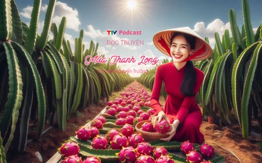 Truyện ngắn “Mùa Thanh Long” | Nguyễn Trường | TTV Podcast