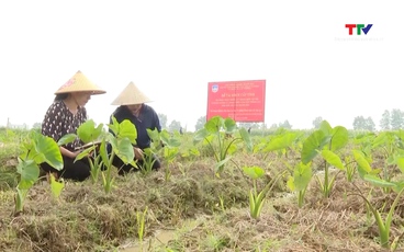 Thanh Hóa phát triển nguồn nhân lực nghiên cứu khoa học
