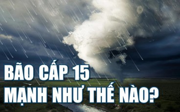 [Infographics] - Bão cấp 15 mạnh như thế nào?