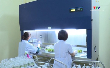 Ứng dụng công nghệ nuôi cấy mô tế bào thực vật