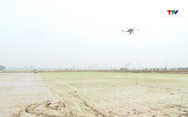 Thúc đẩy chuyển đổi số trong hợp tác xã nông nghiệp