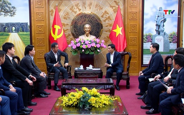 Bí thư Tỉnh ủy Nguyễn Doãn Anh tiếp xã giao lãnh đạo Tập đoàn Sumitomo 