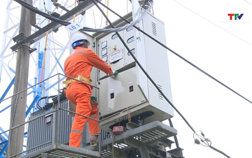 Đảm bảo cấp điện phục vụ Tết Nguyên đán Bính Ngọ