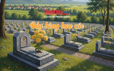 [Podcast] Bảy bông hoa cúc | Câu chuyện truyền thanh