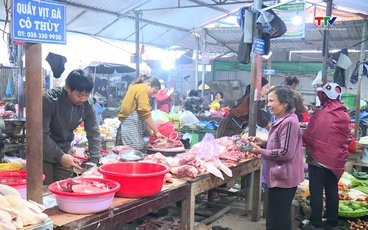 Hàng hóa dồi dào, giá cả ổn định những ngày đầu năm mới