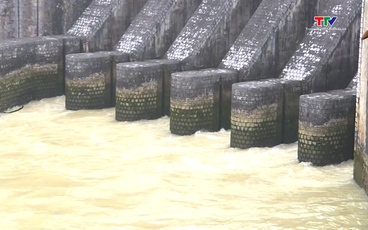 Đảm bảo nguồn nước cho cây trồng vụ xuân