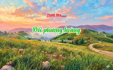 Đọc truyện: “Đồi Phượng Hoàng” | Nguyễn Trường