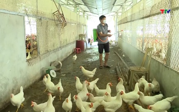 Ứng dụng công nghệ bảo vệ môi trường trong chăn nuôi