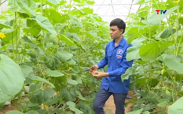 Lan tỏa tinh thần khởi nghiệp trong thanh niên miền núi