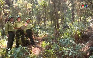 Cảnh báo nguy cơ cháy rừng cấp cực kỳ nguy hiểm