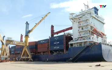 Đảm bảo thông suốt xuất nhập khẩu khi hệ thống tạm dừng