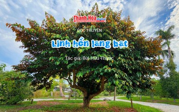 Đọc truyện: “Linh hồn lang bạt” | Bùi Hữu Thược