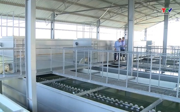 Ứng dụng công nghệ, chuyển đổi số trong cung ứng, kinh doanh sản xuất nước sạch