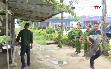 Thanh Hoá: Chủ tịch UBND cấp xã chịu trách nhiệm chính trong công tác bảo đảm trật tự đô thị, trật tự công cộng 