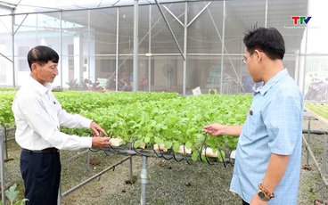 Khoa học - kỹ thuật nâng cao hiệu quả trong trồng trọt
