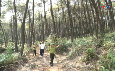 Chủ động phòng chống cháy rừng