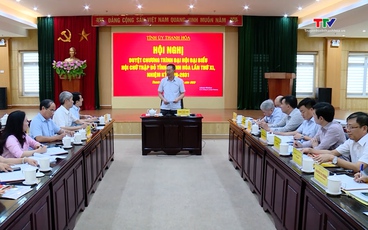 Chuẩn bị Đại hội đại biểu Hội chữ thập đỏ tỉnh Thanh Hóa nhiệm kỳ 2026-2031