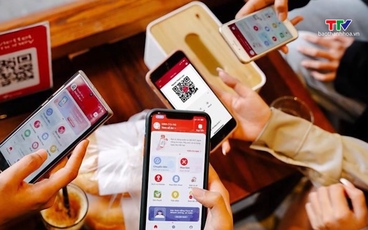 Hai mã, số viễn thông được đưa ra đấu giá khởi điểm từ 250 triệu đồng