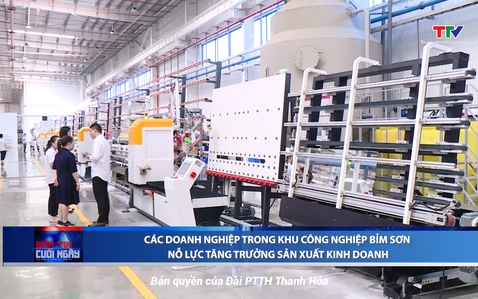 Bản tin Thời sự cuối ngày 26/11/2024