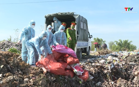 Công an xã Đồng Tiến tiêu hủy hơn 5 tạ lợn nhiễm dịch tả lợn Châu phi