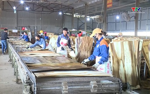 Ngành gỗ Việt Nam đối diện với phòng vệ thương mại của Hoa Kỳ