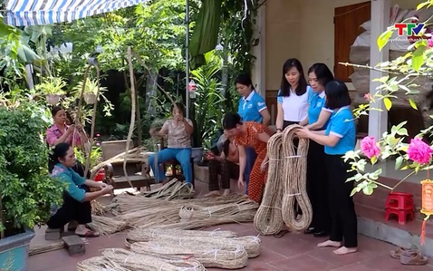 Phụ nữ Thanh Hóa phát triển kinh tế tập thể