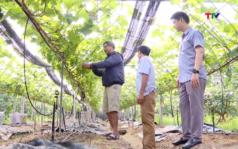 Năm 2025,Thanh Hóa tích tụ được 4474 ha đất nông nghiệp