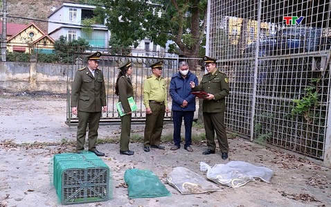 
Phát hiện vụ vận chuyển lâm sản trái pháp luật