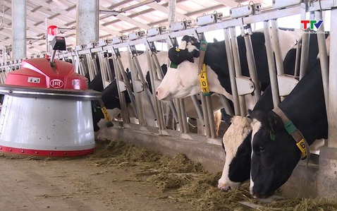 Thu hút gần 17.700 tỷ đồng đầu tư các dự án chăn nuôi quy mô lớn