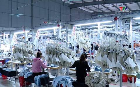 Hỗ trợ, đồng hành cùng doanh nghiệp thực hiện chính sách thuế